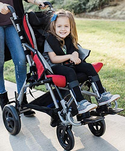 Drive Medical Trotter Mobility Stroller