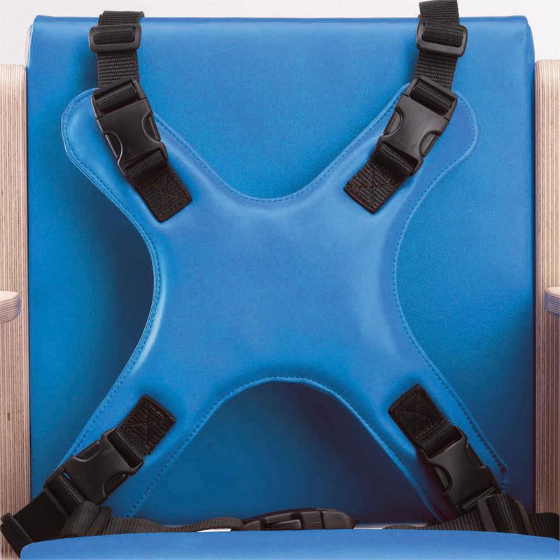 Optional Four Point Harness