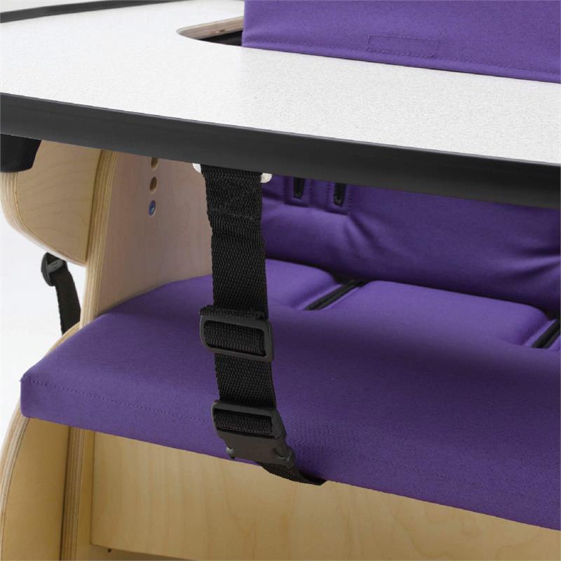 Optional Tray Retaining Strap
