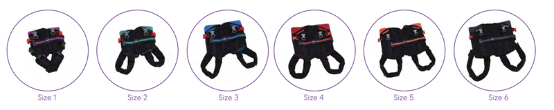 Colors of Harnesses with Sizes