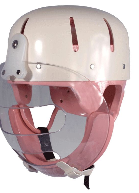 Danmar Hard Shell Helmet with Faceguard, clear face guard pivots to the top of the helmet , strong polyethylene shell