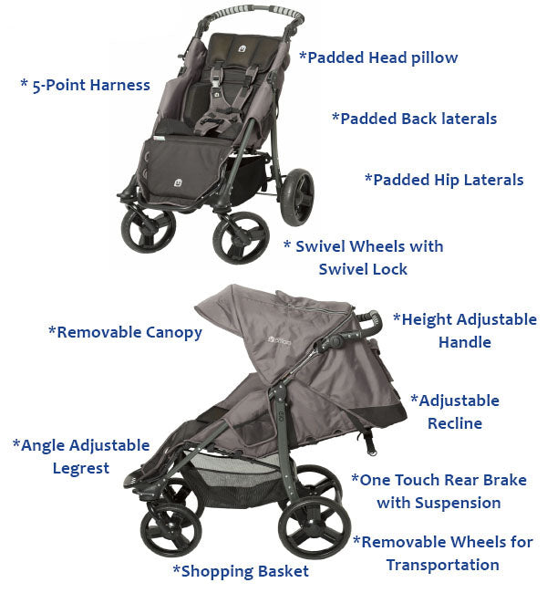 Special Tomato EIO Push Chair with included features