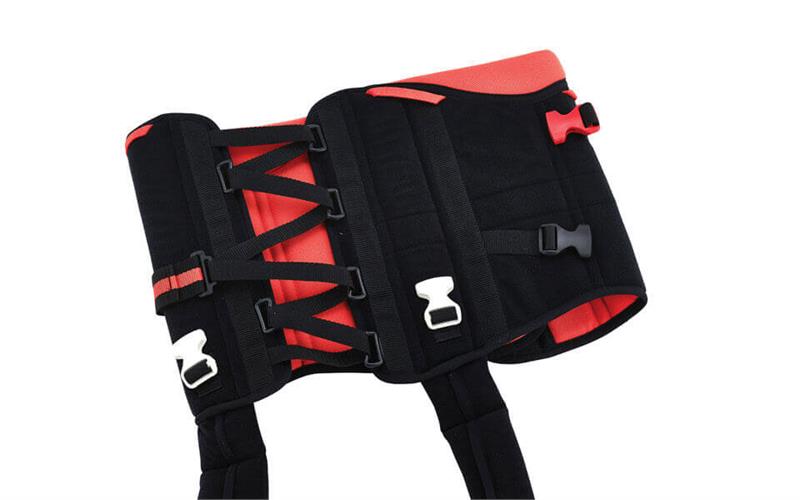 Example of Red (Size 4) Harness