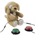 Learning Toys