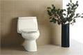 Comfort Height Toilets
