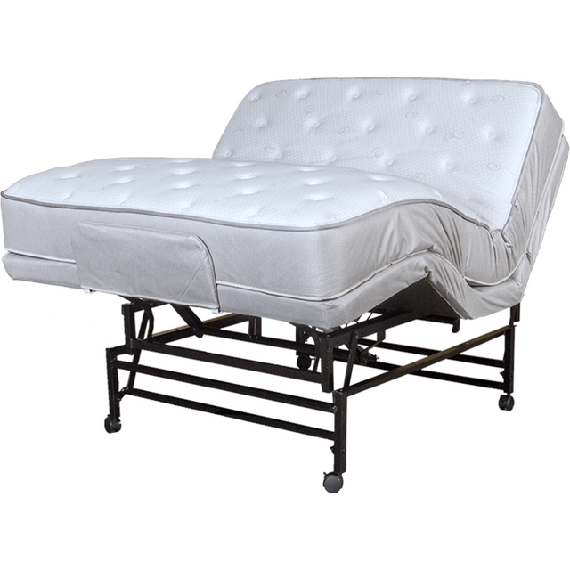 Fully Electric head and knee articulation with hi-low bed with mattress