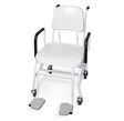 Rice Lake Digital Chair Scale 560-10-1 with adjustable arm and footrests for easy entry. |Rice Lake Digital Chair Scale with digital scale that measures in pounds or kilograms or both.