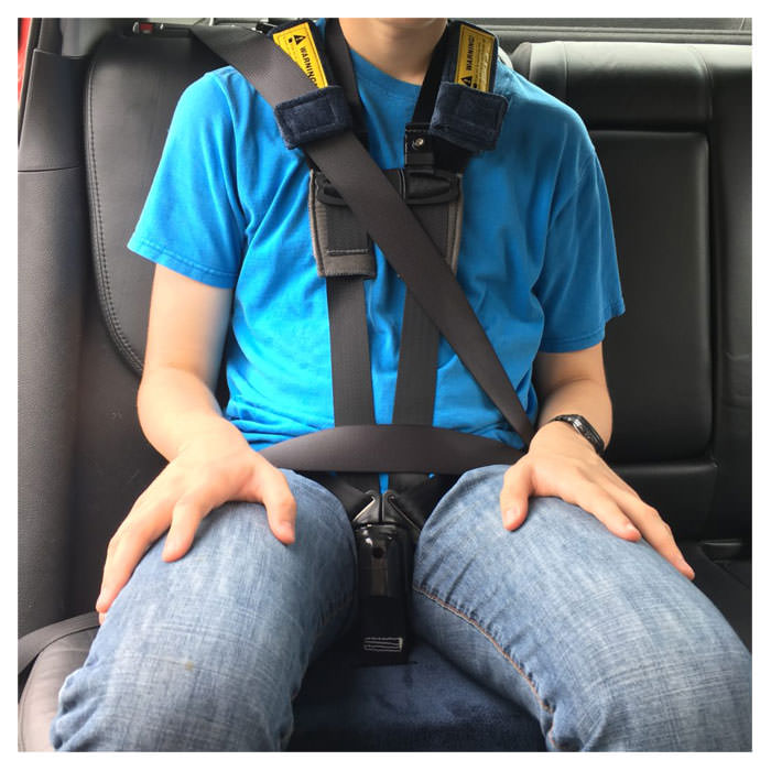 Optional Chest Clip Guard & Buckle Guard use with harness to reduce the risk of escaping.