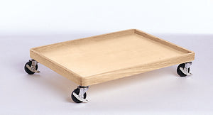 Optional Mobile Base