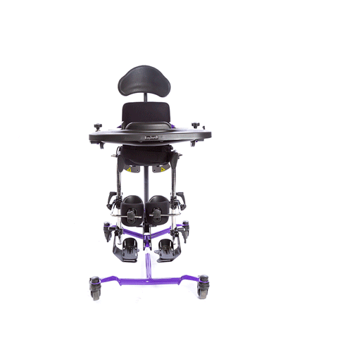 Zing Supine Stander Functions