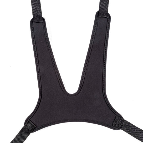 EasyStand Zing MPS Tilt Table