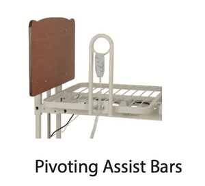 Optional pivoting Assist Bars