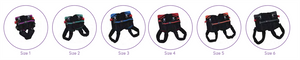 Colors of Harnesses with Sizes