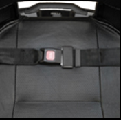 Optional 50" Lap Belt