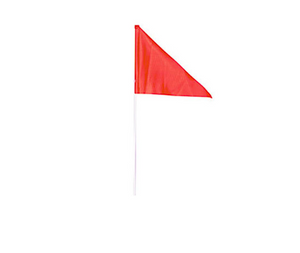 Optional Safety Flag