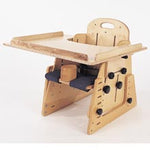 Adjustable Tray