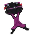 Purple (Size 1) Harness with OPTIONAL Hoisting Harness