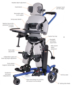 Features for Supine RIfton New Stander