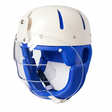 Danmar Hard Shell Helmet with Faceguard, clear face guard pivots to the top of the helmet , strong polyethylene shell